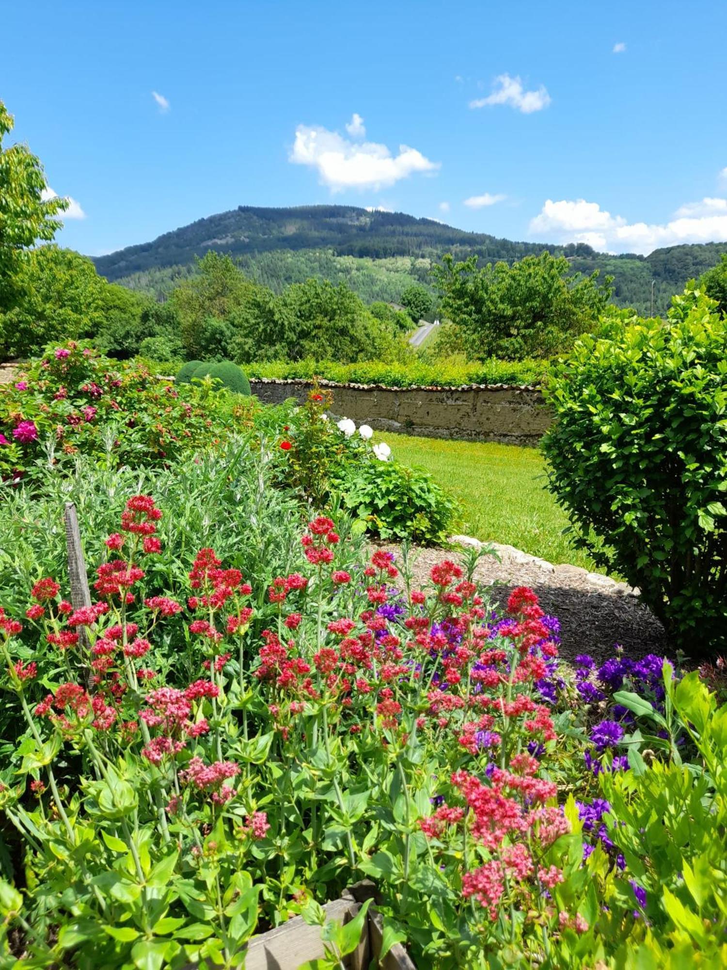 Le Jardin De Chignore Vollore-Ville Exterior foto